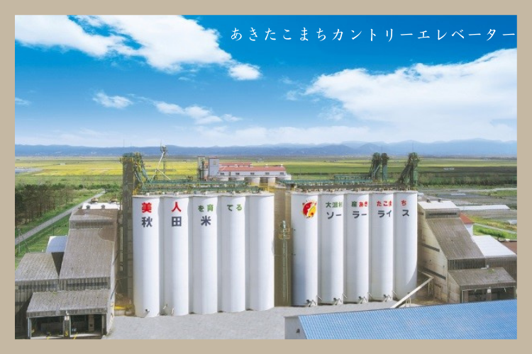 産地直送 通販 お取り寄せ【新米】【有機JAS】【玄米】令和4年産 秋田県大潟村産あきたこまち(5kg): おいしいとびら|JAタウン 産地直送 通販 お取り寄せ【新米】【有機JAS】【玄米】令和4年産 秋田県大潟村産あきたこまち(5kg): おいしいとびら|JAタウン
