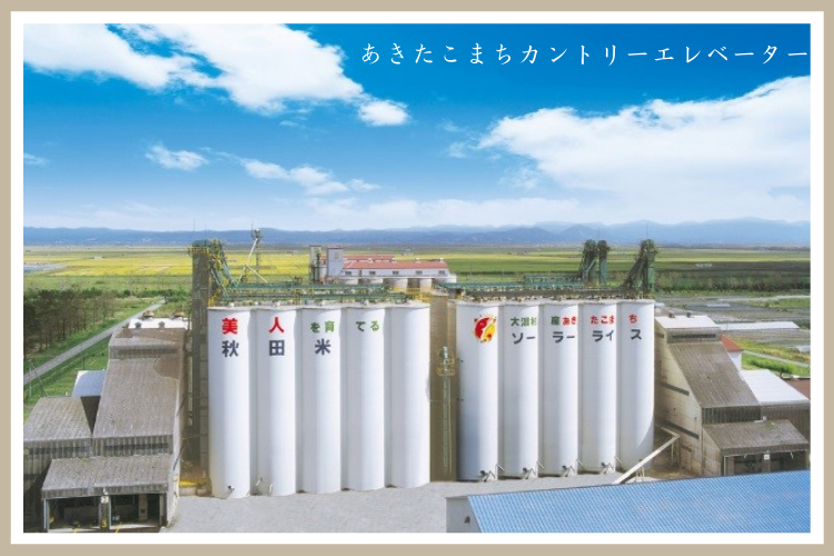 【有機JAS】【白米】令和7年産 秋田県大潟村産あきたこまち(5kg)