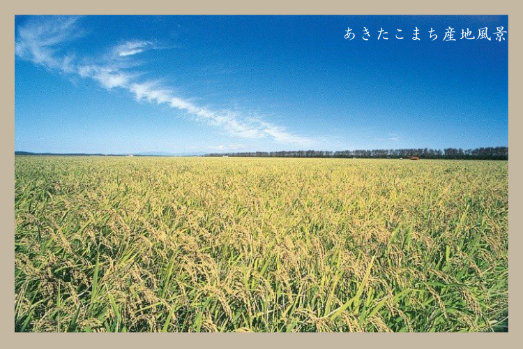 産地直送 通販 お取り寄せ【新米】【有機JAS】【玄米】令和４年産 秋田県大潟村産あきたこまち（５kg）: おいしいとびら|ＪＡタウン
