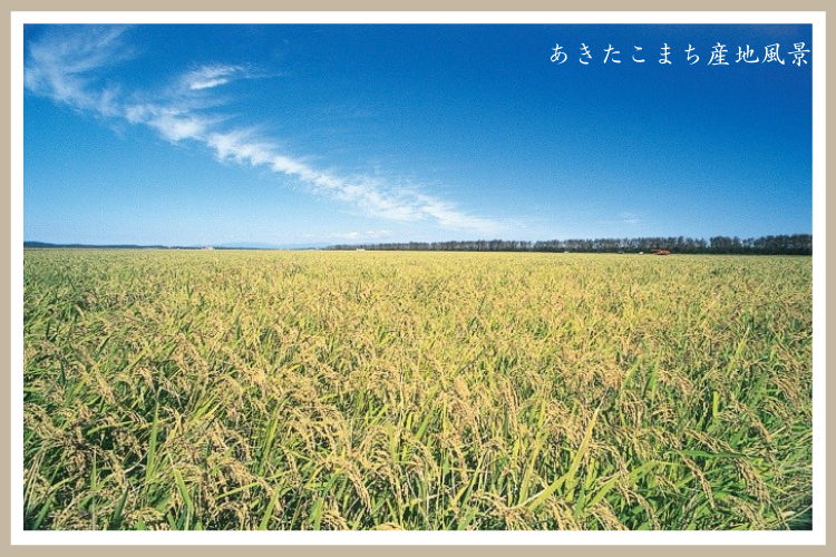 【有機JAS】【白米】令和7年産 秋田県大潟村産あきたこまち(5kg)