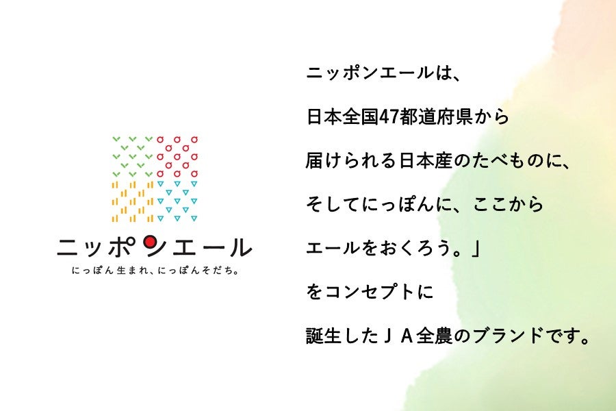 産地直送 通販 お取り寄せ【伊藤園共同開発商品】清涼飲料水 ニッポンエール 宮崎県産日向夏 24本セット: ニッポンエール  オンラインショップ|ＪＡタウン