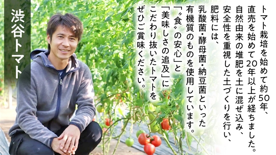 太陽の味～渋谷トマト トマトジュース500ml×3本セット: サトクル