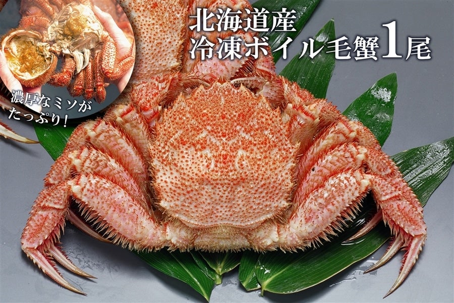2022年最新入荷 その他 【北海道産】ボイル毛ガニ姿（約400g×3尾） ds-2251978 カニ - LITTLEHEROESDENTISTRY