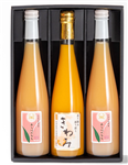 yz&̓ A\[gZbg 500ml×3{ 12 a̎R 