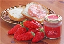 【お歳暮】市川農場いちごバター【化粧箱入り】