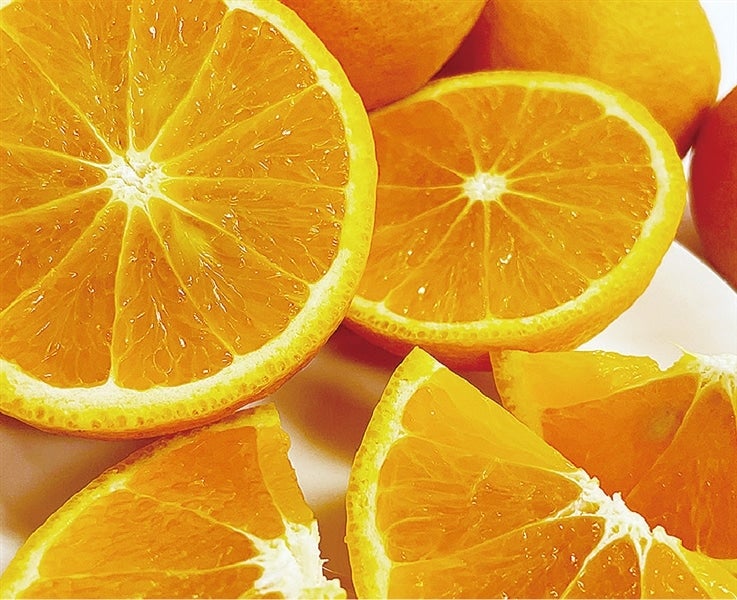 【旬食便】柑橘王国和歌山からの贈り物 甘みと酸味を楽しむ柑橘食べ比べ5か月コース