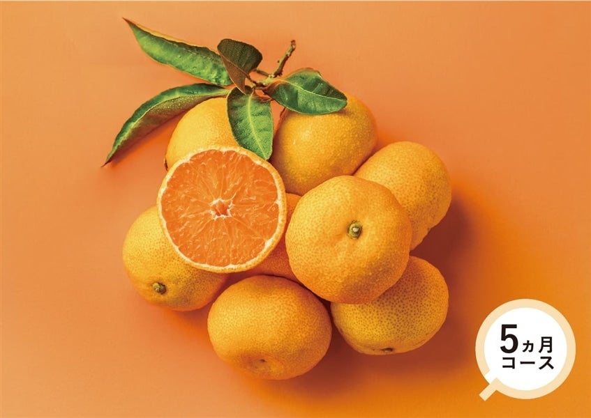 【旬食便】柑橘王国和歌山からの贈り物 甘みと酸味を楽しむ柑橘食べ比べ5か月コース