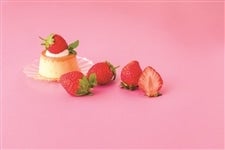 【旬食便】日本各地から届く甘酸っぱい春の味 ブランドいちご食べ比べ4ヵ月コース