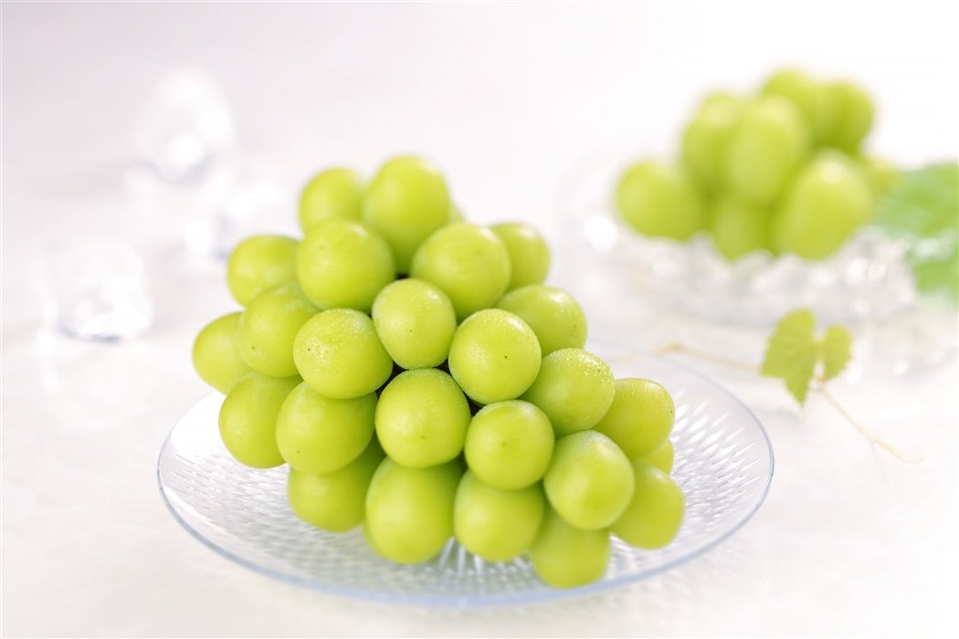 �������Y �V���C���}�X�J�b�g