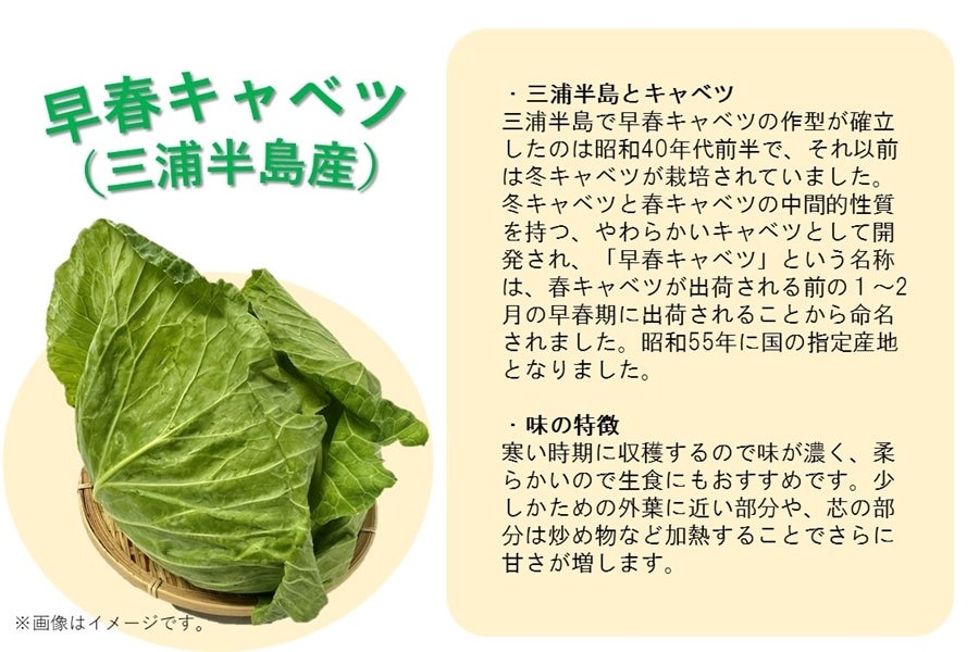 神奈川を食べよう！　こだわり野菜・果物セット（9品目詰合せ）