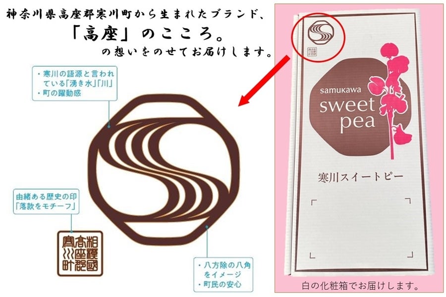 産地直送 通販 お取り寄せ 寒冷地向け スイートピー春色セット100本入 ja全農かながわ jaタウン 産地直送 通販 お取り寄せ 寒冷地向け スイートピー春色セット100本入 ja全農かながわ jaタウン