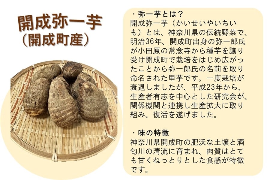 神奈川を食べよう！　こだわり野菜・果物セット（9品目詰合せ）