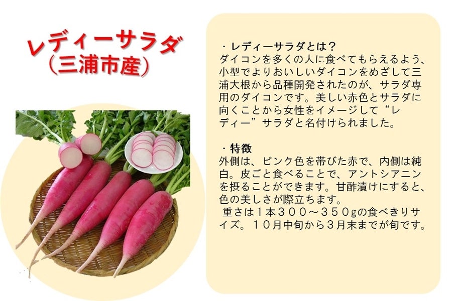 神奈川を食べよう！　こだわり野菜・果物セット（9品目詰合せ）
