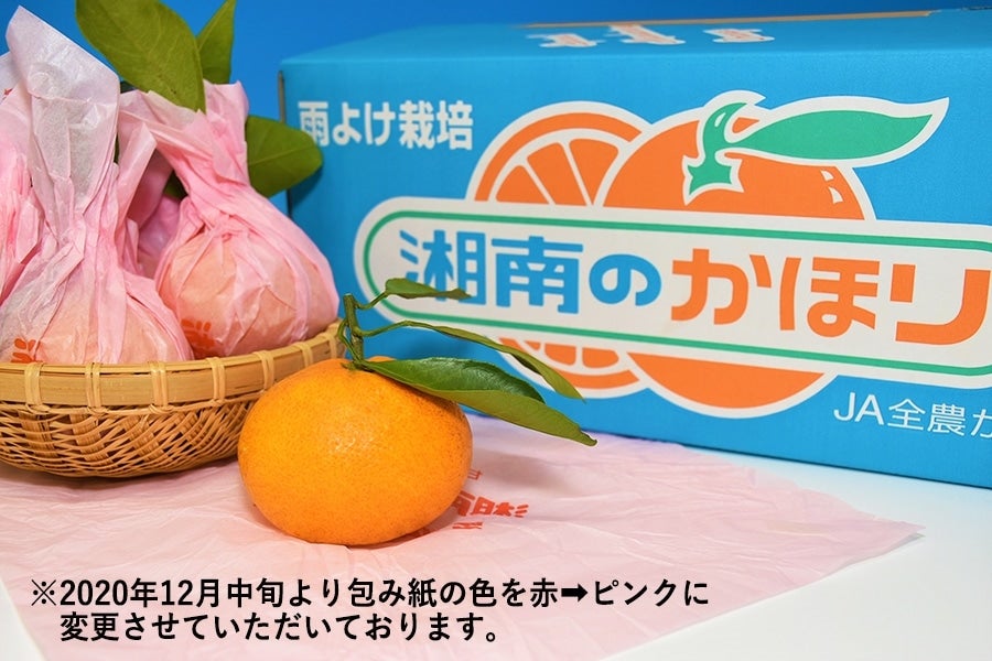 産地直送 通販 お取り寄せ露地栽培の高糖度みかん 湘南のかほり 約４ｋｇ ｊａ全農かながわ ｊａタウン