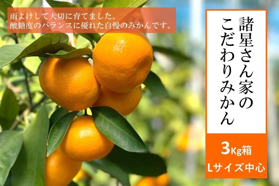 ◇屋根掛け栽培◇諸星さん家のこだわりみかん 3Kg: JA全農かながわ