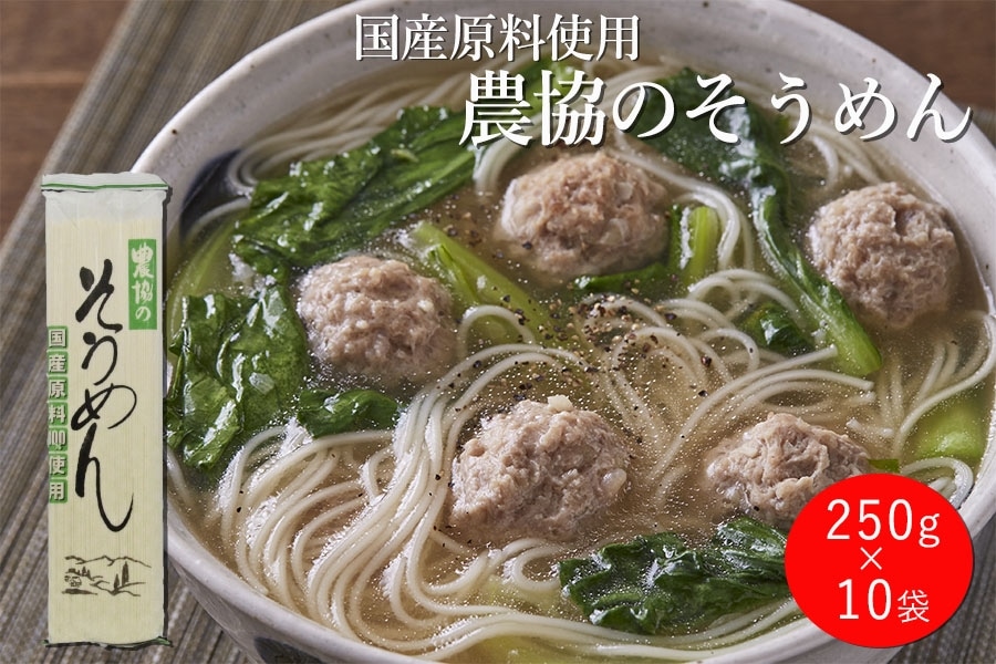 産地直送 通販 お取り寄せ 国産原料使用 農協のそうめん 250g入 10束 ja全農かながわ jaタウン