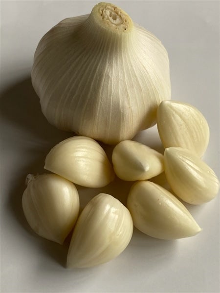 産地直送 通販 お取り寄せ新 平戸にんにく 寒川町産 ｊａ全農かながわ ｊａタウン