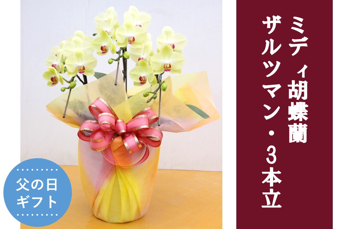 �y���̓��z�~�f�B�Ӓ����E�U���c�}��_3�{��