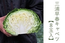 �O�Y���t�L���x�c�@�y�W�ʓ��z