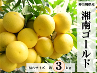 �Ó�S�[���h�i��Rkg�jMS�T�C�Y