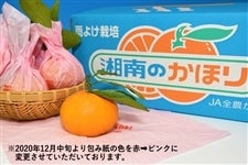 専用⭐みかん＊限定特価⭐ひんやり冷感ガーゼタオル⭐グレーリボン＊ボーダー☆ 専用⭐みかん＊限定特価⭐ひんやり冷感ガーゼタオル⭐グレーリボン