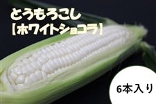トウモロコシのある静物 楽天市場】送料無料 選べる 合わせ10点セット 常温保存 白玉米