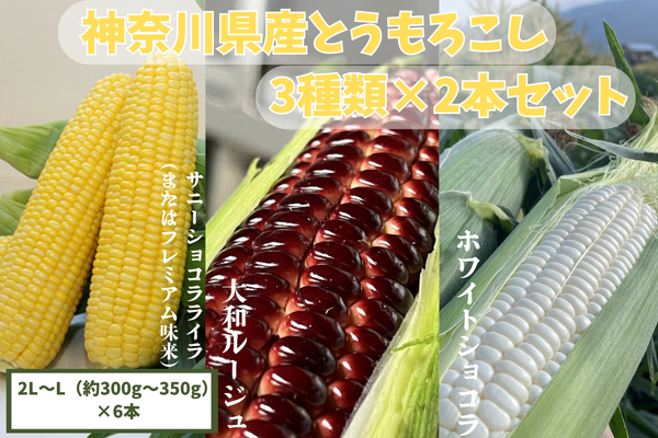 yԔHהׁIz_ސ쌧YƂ낱3×2{Zbg