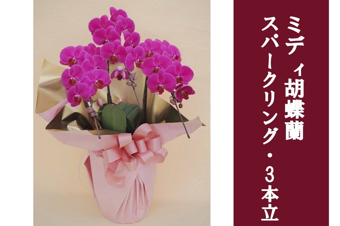 y̓z~fBӒEXp[NO_3{