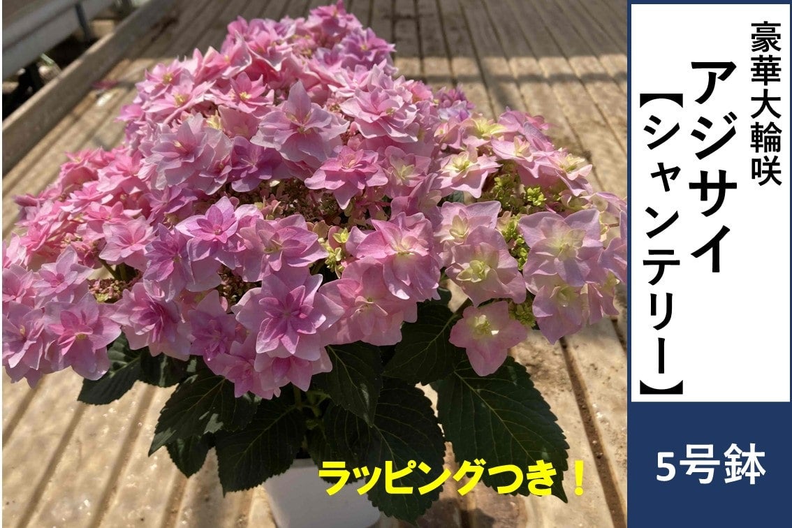 AWTCyVe[z5