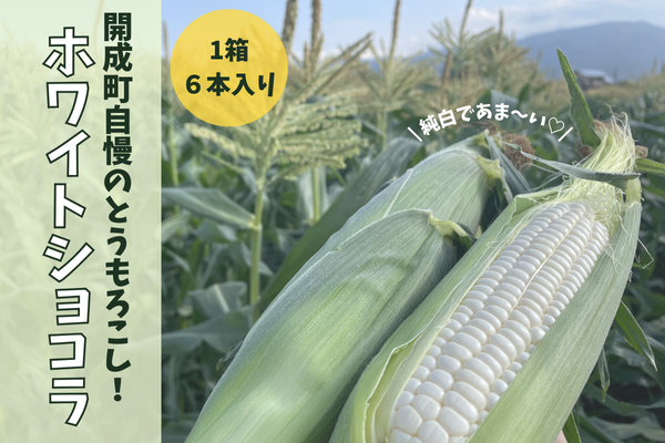 Ƃ낱izCgVRjy6{z`_ސ쌧J炨͂I`