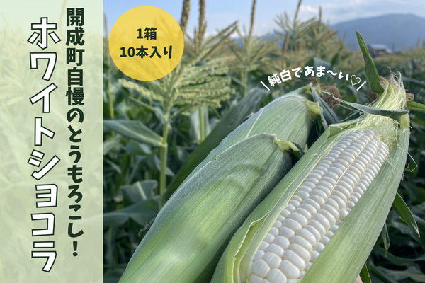 Ƃ낱izCgVRjy10{z`_ސ쌧J炨͂I`