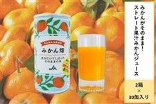 �y�t��JA�^�E���Ղ�z�݂��񂪂��̂܂܁I�X�g���[�g�ʏ`�݂���W���[�X�u�݂��񔨁v�i�Q���Z�b�g�j