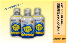 �y�H��JA�^�E���Ղ�z�Ó쒪�ʃ������X�J�b�V��