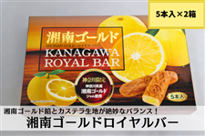 �Ó�S�[���h���C�����o�[�i5�{��×2���j