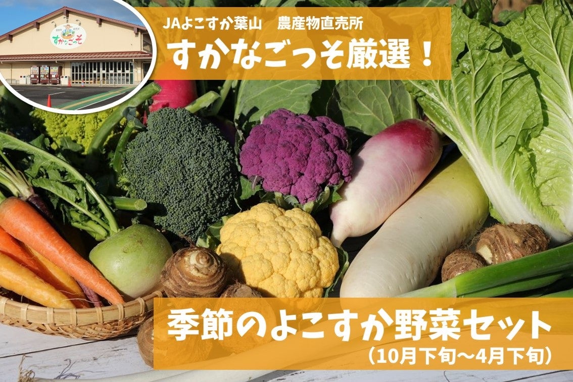 【三浦半島特産品】すかなごっそ　季節のよこすか野菜セット（10月下旬〜4月下旬）