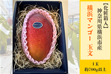 �y���ϔ����z���l�}���S�[ �ʕ�1�ʓ���