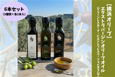 �y���l�I���[�u�z�G�N�X�g���o�[�W���I���[�u�I�C���@6�{�Z�b�g