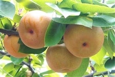 ̗͂ELRki8{`j