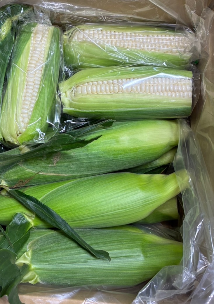 ご自宅用 訳あり品入り】 とうもろこし（ホワイトショコラ）～神奈川県