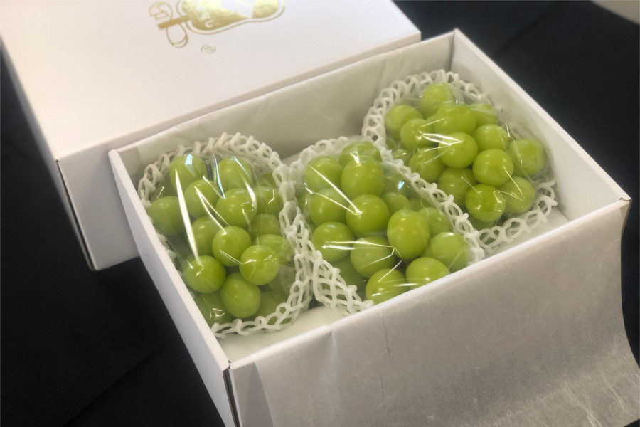 シャインマスカット 約1.8kg 3房入り 9月上旬～中旬お届け: フルーツ