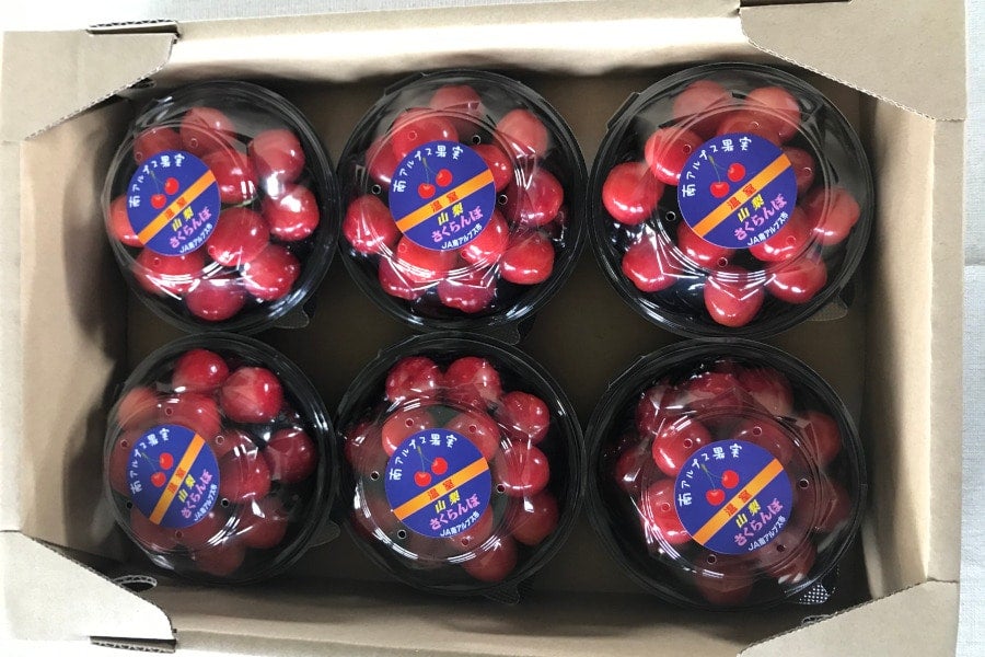 温室さくらんぼ 約80g×6パック 5月7日頃から発送: フルーツ王国