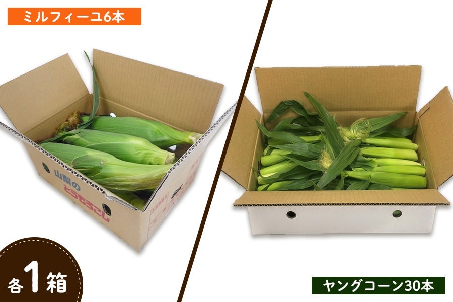 収穫当日にフレッシュな葉っぱ付きをお届け! ※お届けイメージです。