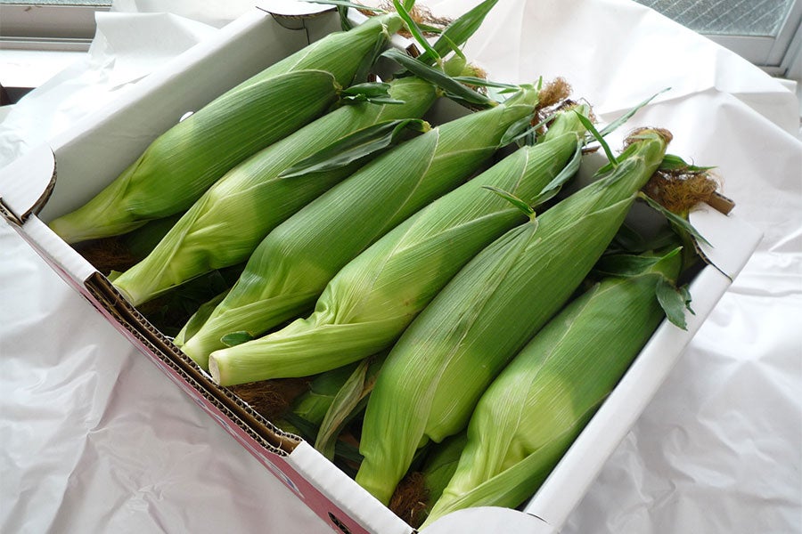 収穫当日にフレッシュな葉っぱ付きをお届け! ※お届けイメージです。