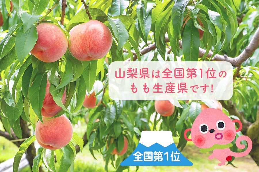 夏のJAタウン祭り】ももまるごと「ピーチジュース」ノももン 190g×30本