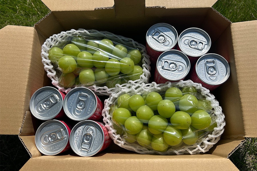 残りわずか　ジューシー　冬梨　5kg4箱セット 山梨ご家庭用セット（ご家庭用シャインマスカット2房・ノももンピーチ