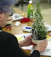 産地直送 通販 お取り寄せ クリスマス お歳暮 クリスマス絵梨花 ５号鉢 フルーツ王国やまなし ｊａタウン