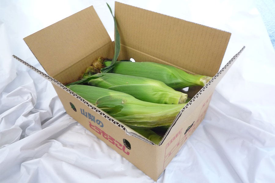 とうもろこし【ゴールドラッシュ】約2.5kg（6本入り）6月15日頃より