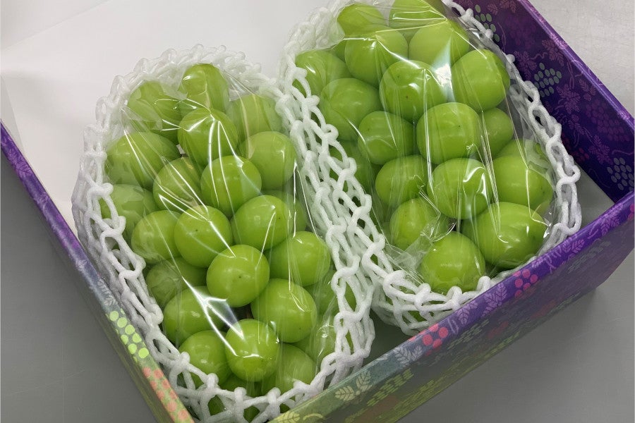 お届けイメージ