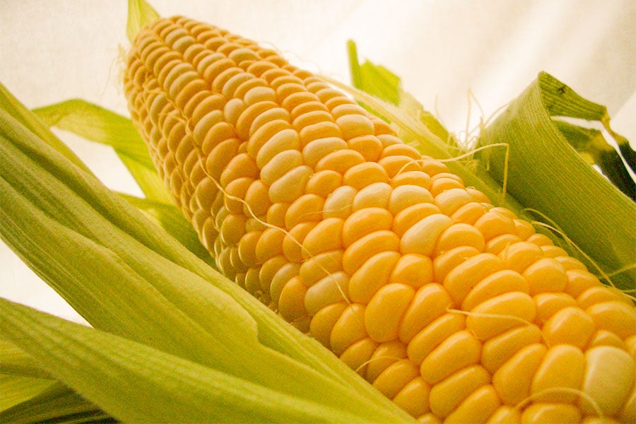 ボリューム感があり、一粒一粒が先端までびっしり詰まってます。