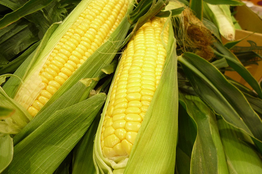 つやのある黄色い粒がきれいにそろってます。